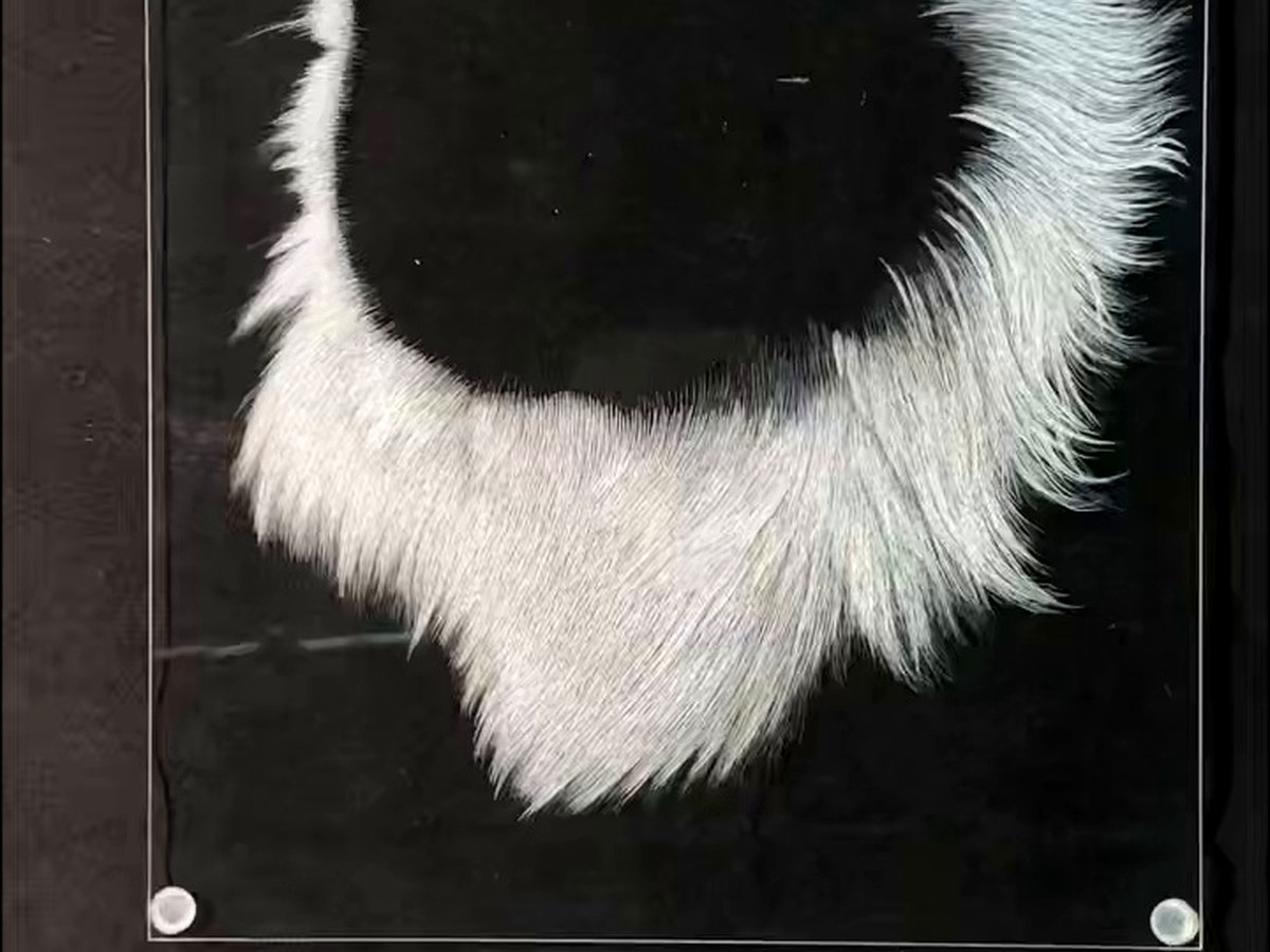 acrylic engraving process