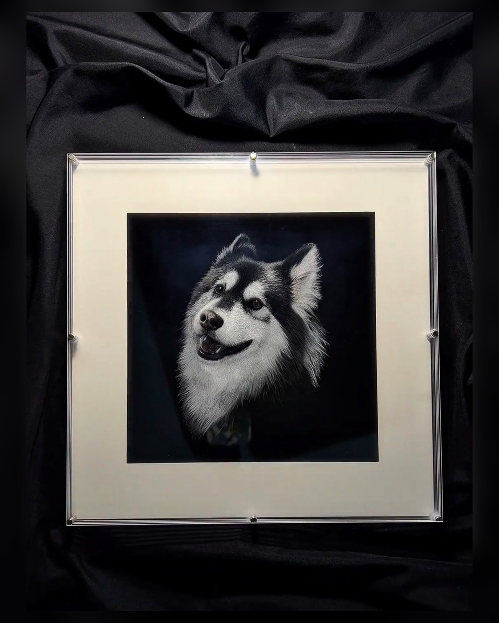 Real acrylic engraved pet portrait