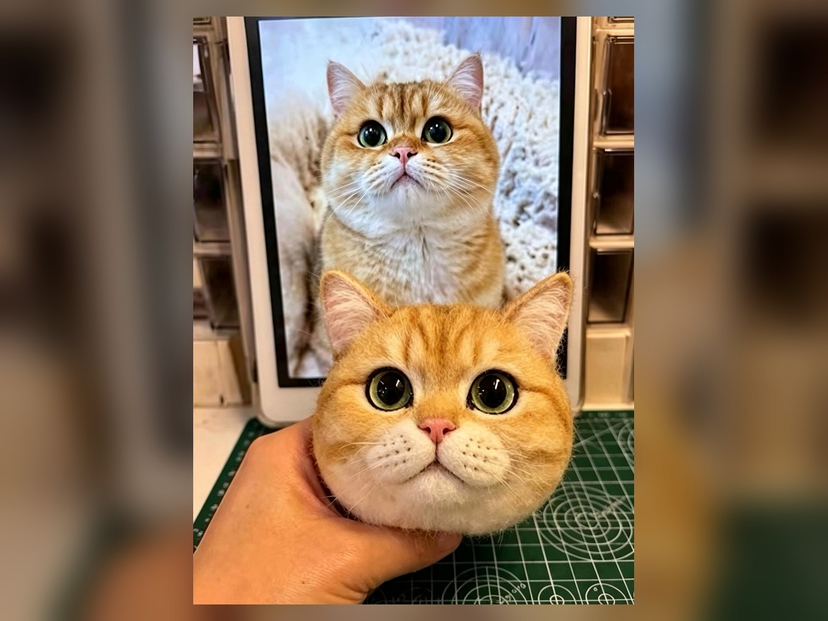 3D Framed Felt Portrait