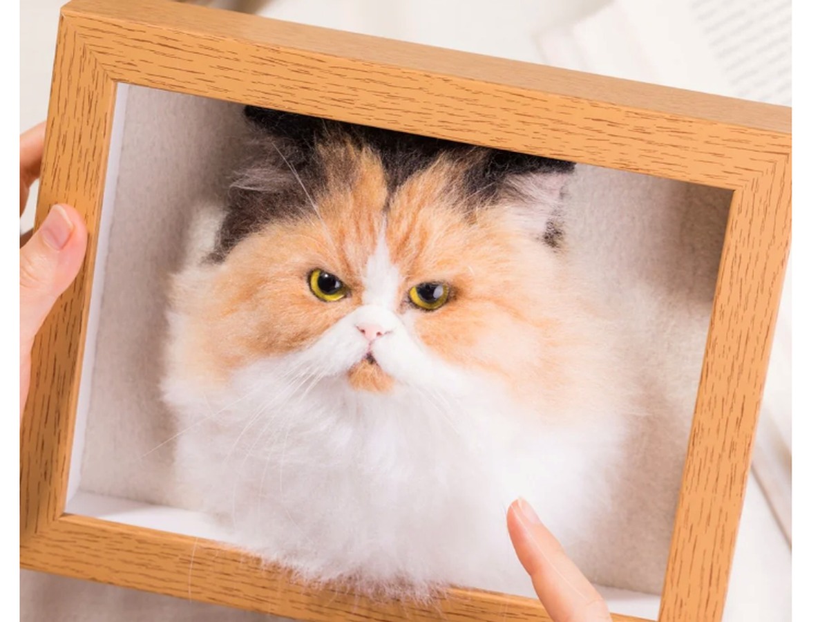 Flat Framed Felt Portrait