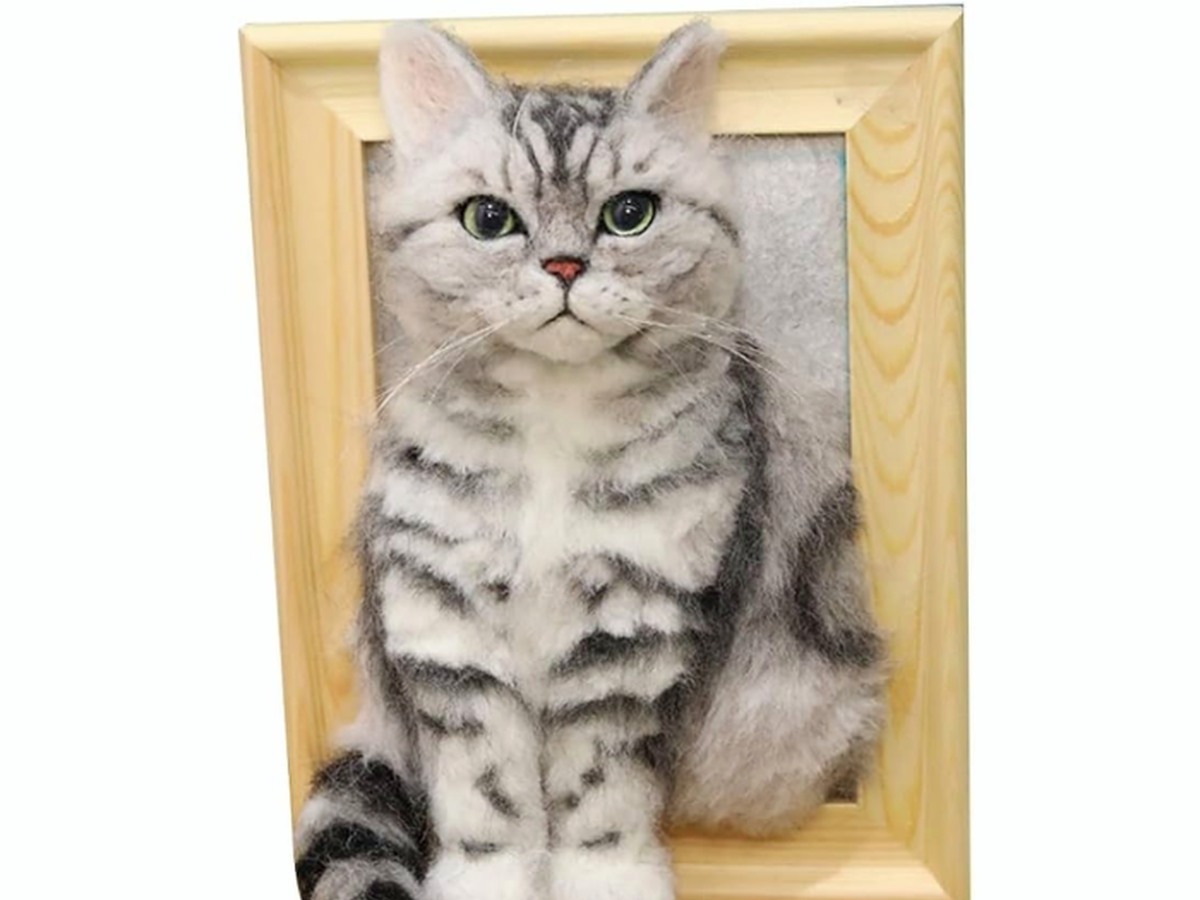 Real 3D Felted Pet Portraits work sample