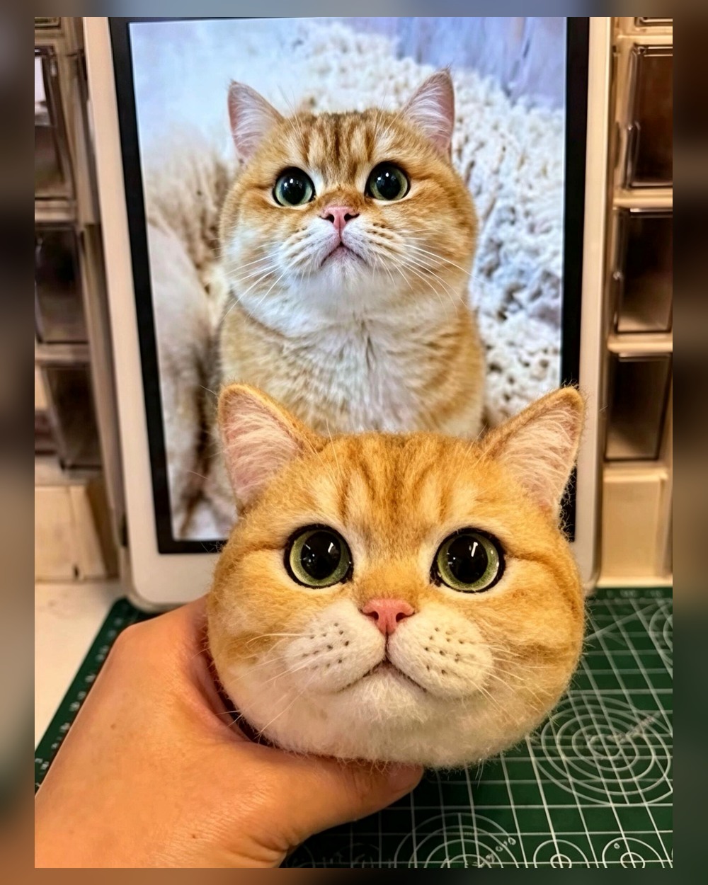 Real 3D Felted Pet Portraits sample