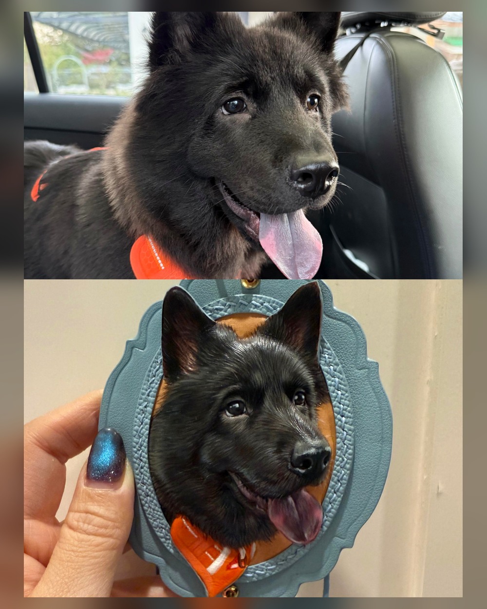 Real Leather Pet Portrait Accessories sample