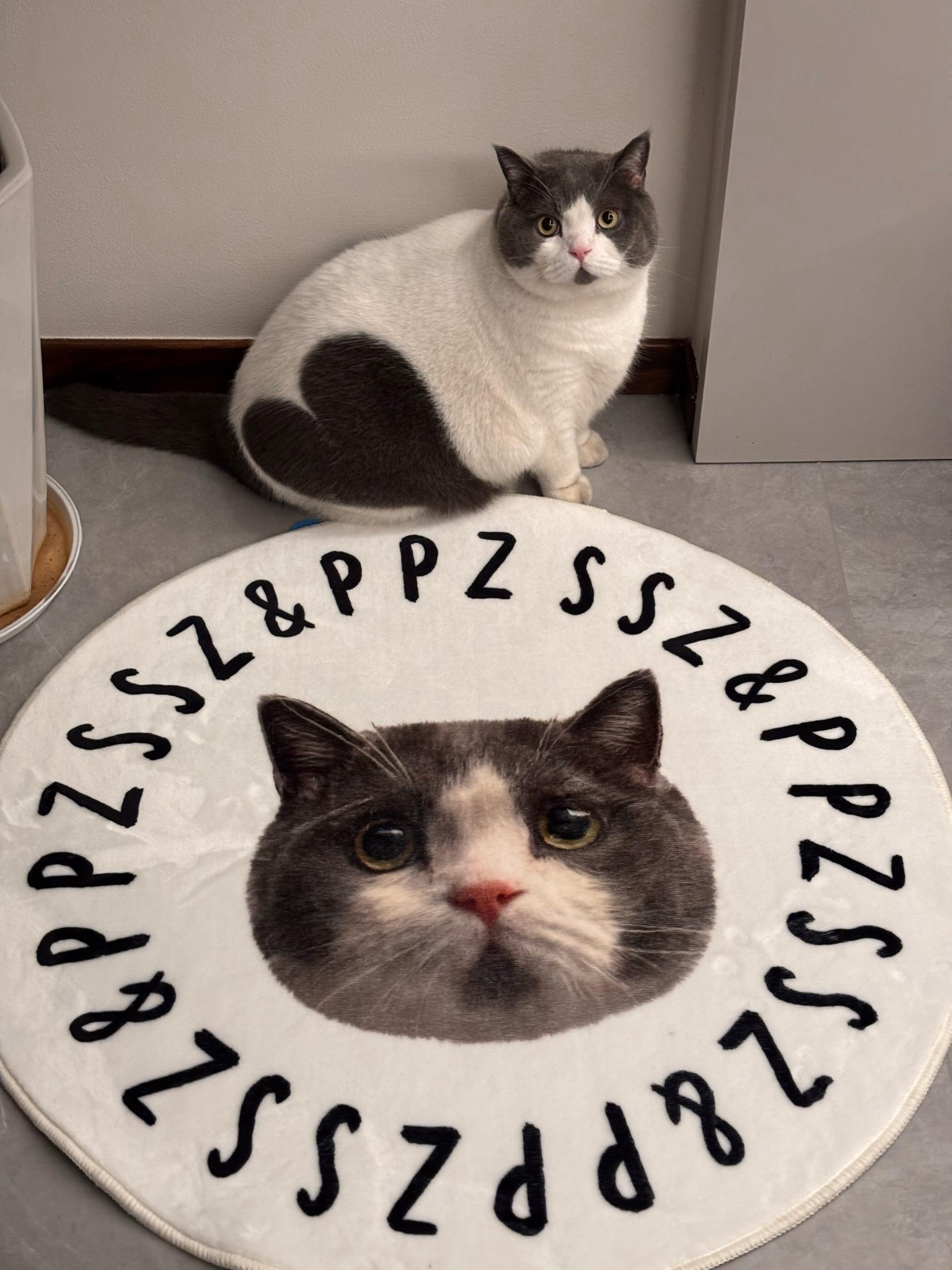 Custom pet portrait mini rug